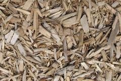 biomass boilers Saucher