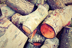 Saucher wood burning boiler costs